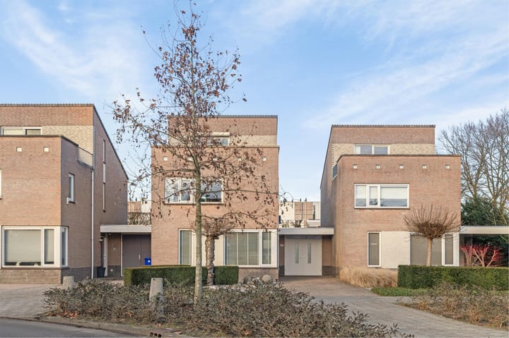 Foto 2 van Buizerd 114