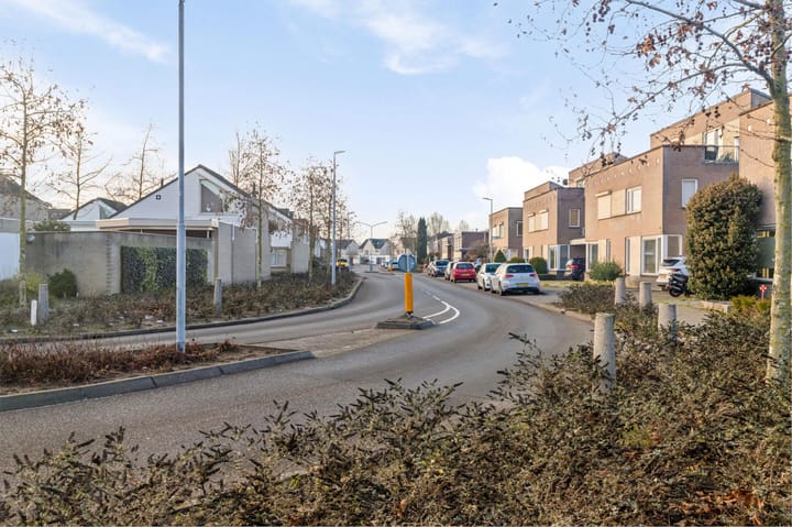 Foto 3 van Buizerd 114