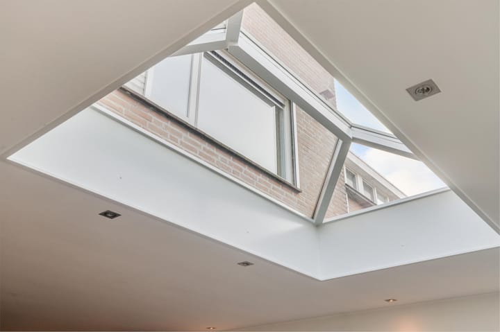 Foto 9 van Buizerd 114