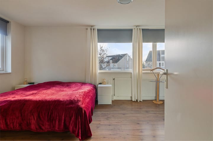 Foto 18 van Buizerd 114