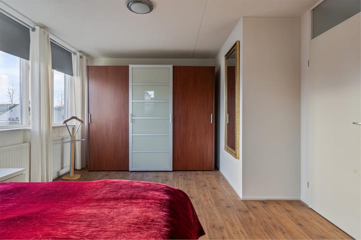 Foto 19 van Buizerd 114