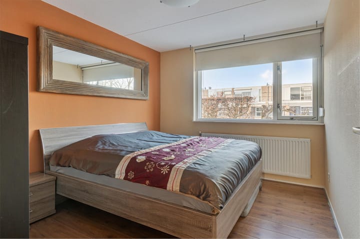 Foto 20 van Buizerd 114