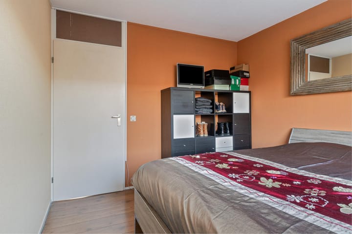 Foto 21 van Buizerd 114