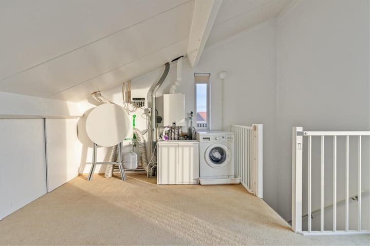 Foto 28 van Buizerd 114