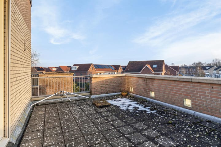 Foto 31 van Buizerd 114