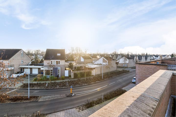 Foto 32 van Buizerd 114