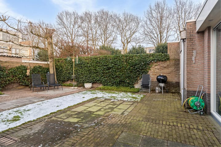 Foto 37 van Buizerd 114