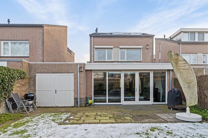 Foto 38 van Buizerd 114