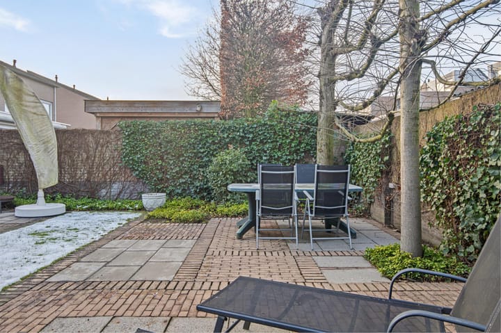 Foto 39 van Buizerd 114