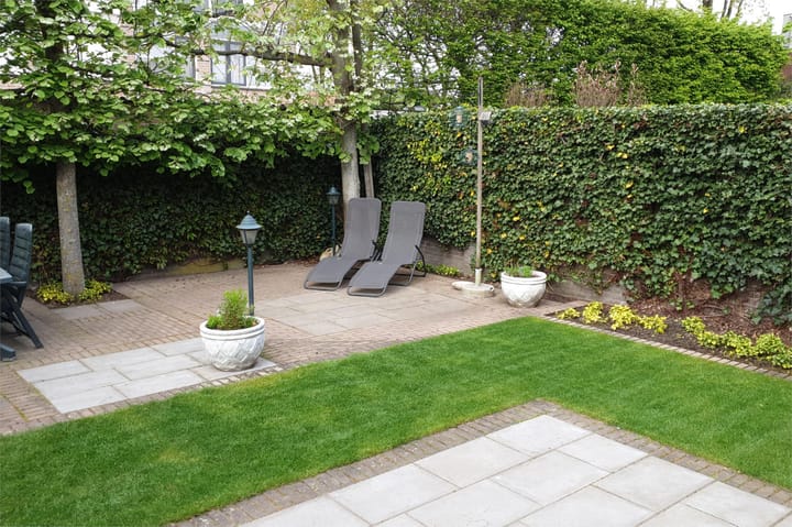 Foto 40 van Buizerd 114