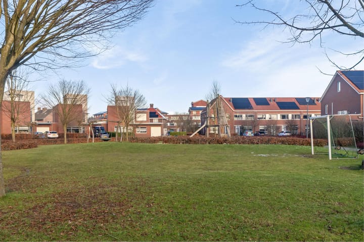 Foto 42 van Buizerd 114