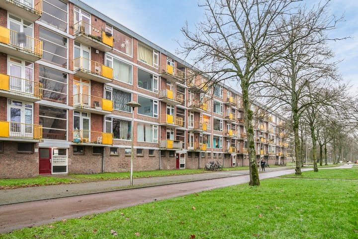 Foto 5 van Moezeldreef 203