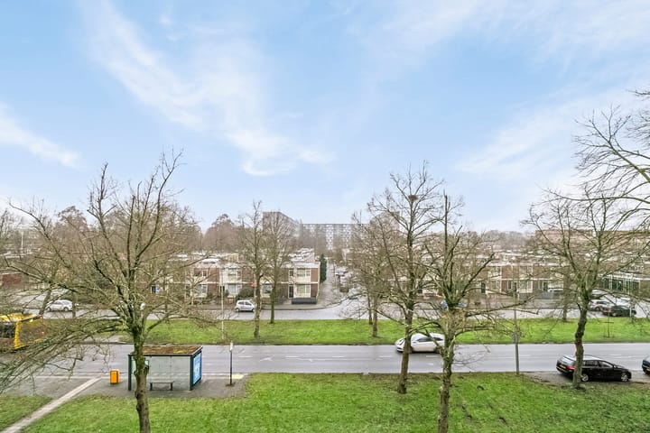 Foto 13 van Moezeldreef 203