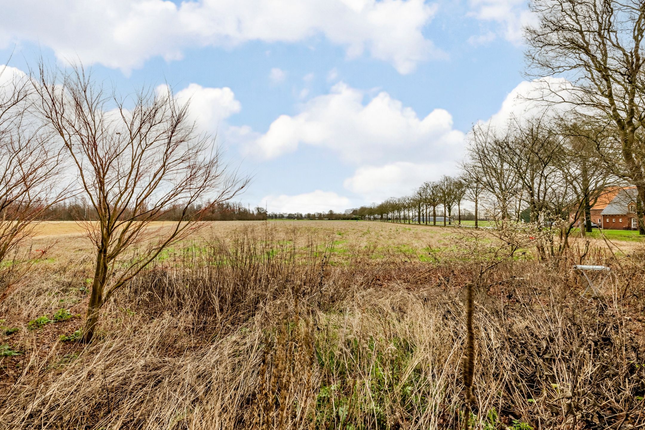 Foto 45 van Wollinghuizerweg 60