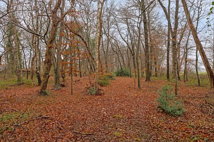 Photo 41 of Deldensebroekweg 6