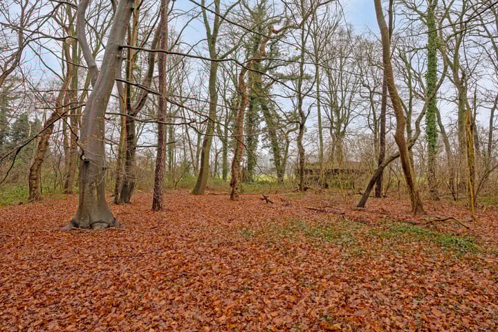 Photo 43 of Deldensebroekweg 6