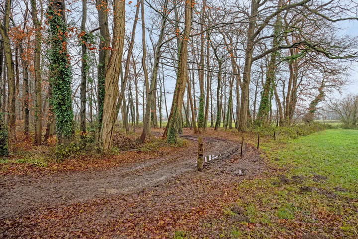 Photo 45 of Deldensebroekweg 6