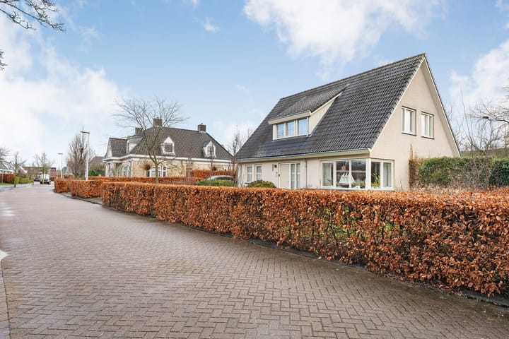 Foto 1 van Karper 17