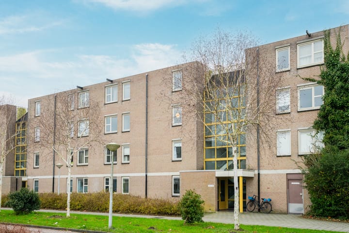 Foto 23 van Wamelplein 21