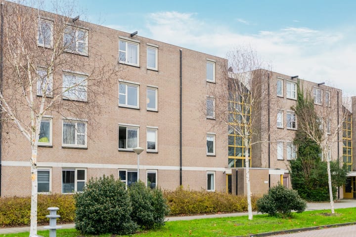 Foto 26 van Wamelplein 21