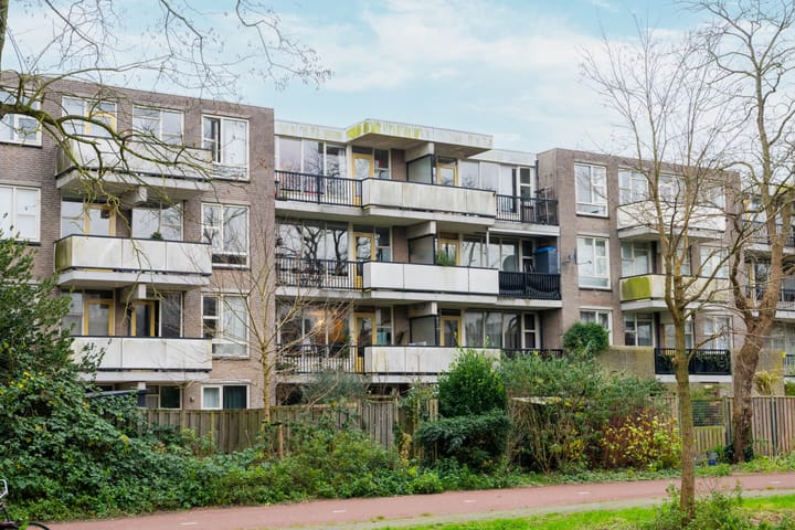 Foto 27 van Wamelplein 21