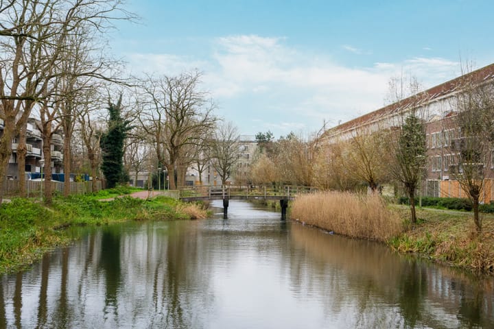 Foto 29 van Wamelplein 21