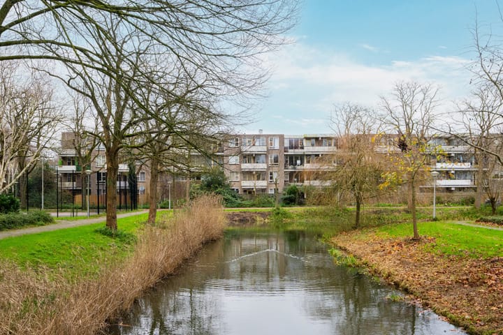 Foto 30 van Wamelplein 21