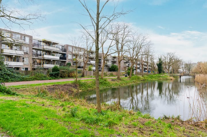 Foto 28 van Wamelplein 21