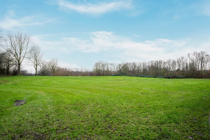 Foto 34 van Wamelplein 21