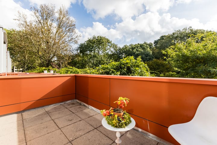 Foto 50 van De Swarrelsstraat 10