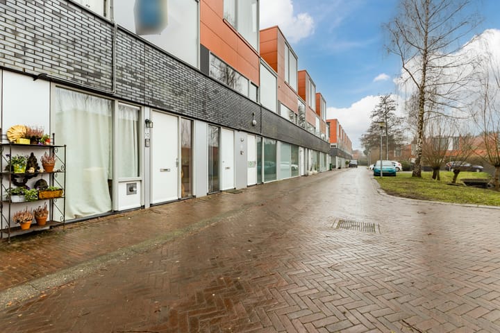 Foto 56 van De Swarrelsstraat 10