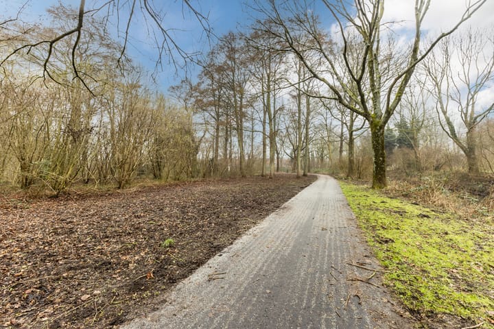 Foto 67 van De Swarrelsstraat 10