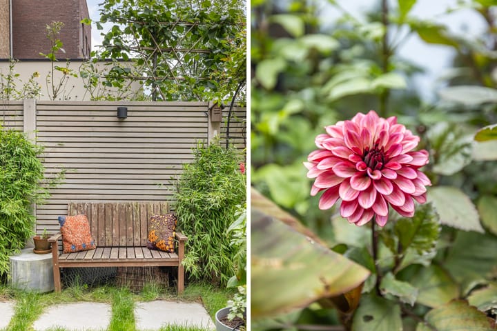 Foto 42 van Werf van Schouten 46