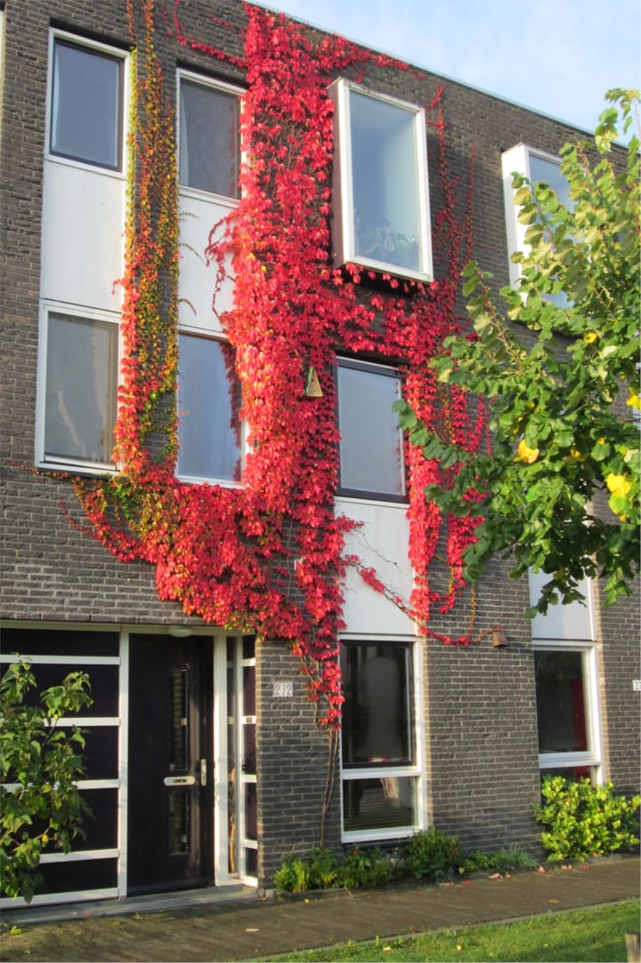 Foto 28 van Zwanebloemlaan 272