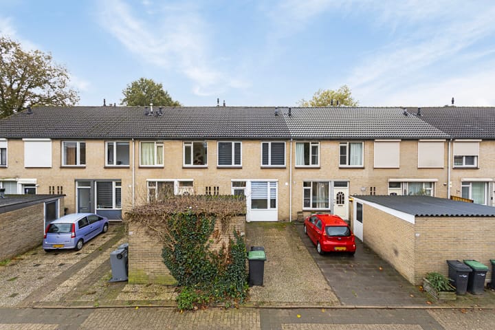 Foto 24 van Kievit 100