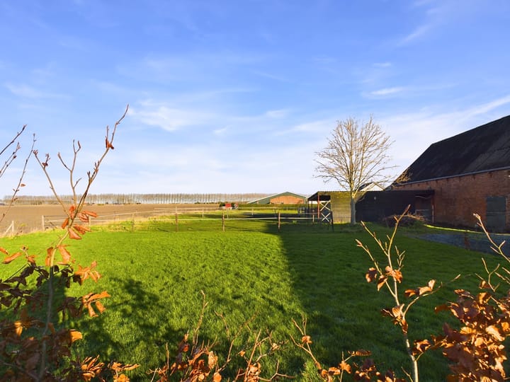 Foto 37 van Mosselpolderstraat 6