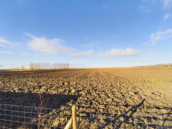 Foto 41 van Mosselpolderstraat 6