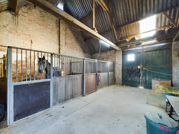 Foto 49 van Mosselpolderstraat 6