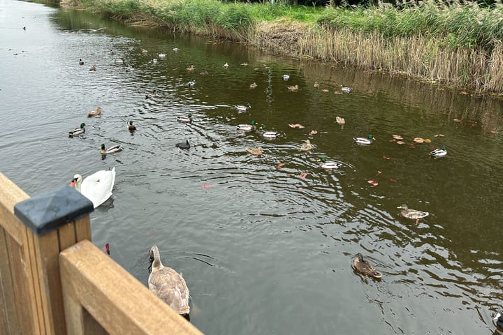 Foto 70 van Beyaertlaan 2