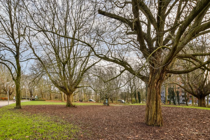 Foto 16 van Javaplantsoen 20-1