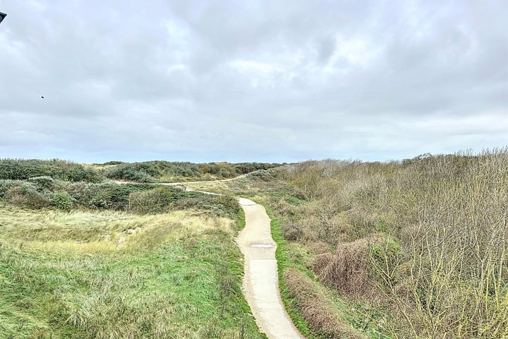 Bekijk foto 12 van Boulevard de Wielingen 47-A204