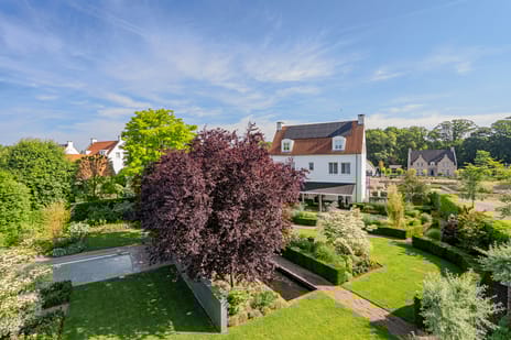 Tegenbosch 16 tertiary image