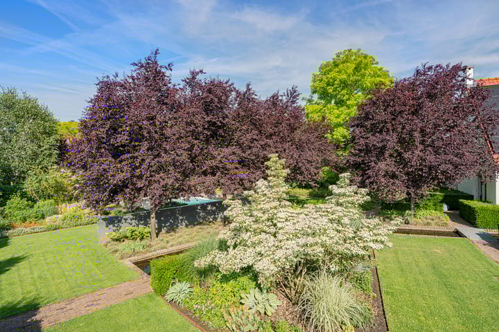 Foto 61 van Tegenbosch 16