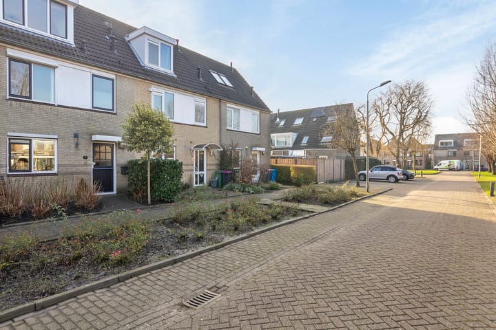 Foto 6 van Kroosvaren 6