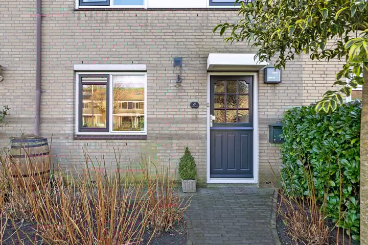 Foto 8 van Kroosvaren 6