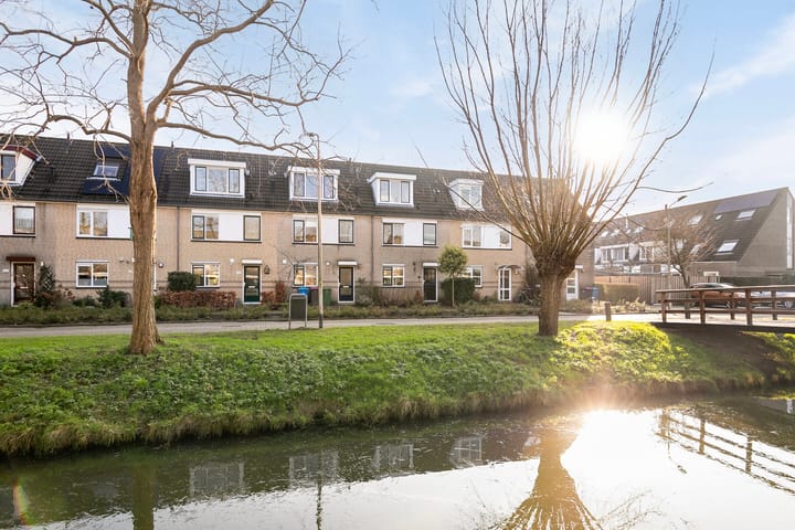 Foto 1 van Kroosvaren 6