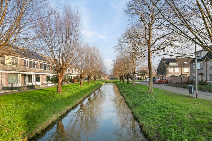 Foto 30 van Kroosvaren 6