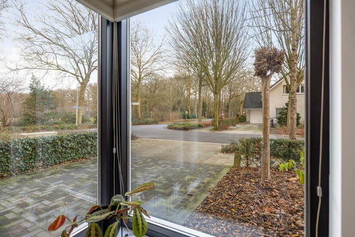 Foto 7 van Stijne van Sallandtstraat 101