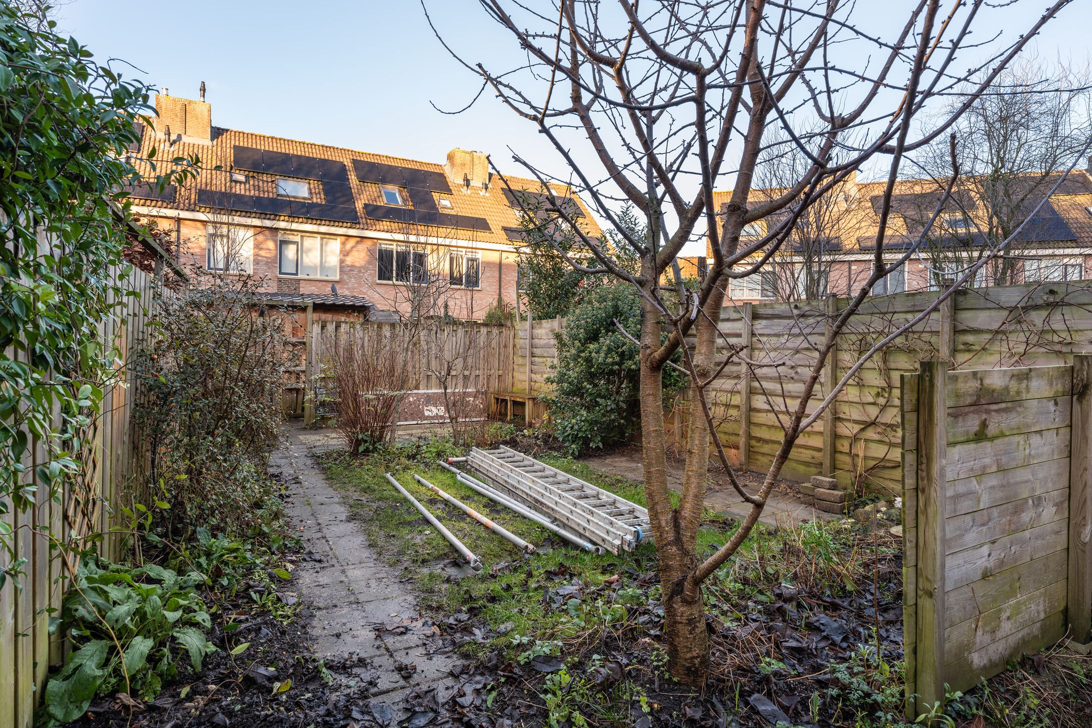 Photo 15 of Waalsteen 13