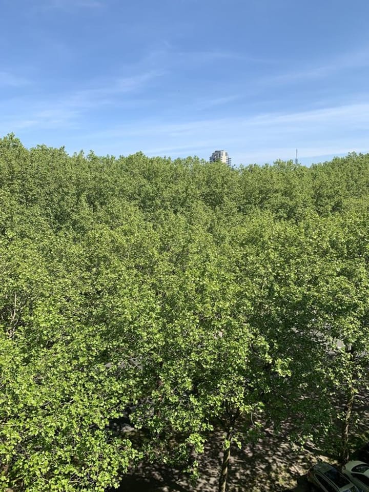 Foto 5 van Van Nijenrodeweg 492